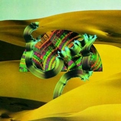 Django Django - Django Django (CD)