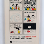 Charles Monroe Schulz : Slide, Charlie Brown! Slide! - pikkukuva 2