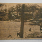 Tampere, Pyynikki, puistoa ja lapsia etualla, mv pk, p. 1919 - pikkukuva 1