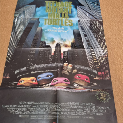 Teenage Mutant Ninja Turtles