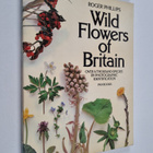 Roger Phillips : Wild flowers of Britain - pikkukuva 1