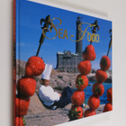 Manne ym. (editor) Stenros : Sea & food - pikkukuva 1