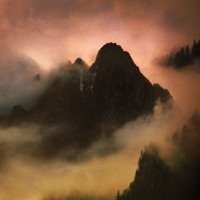 Dead To A Dying World – Elegy LP