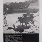 Nord nytt 2/1972 - pikkukuva 2