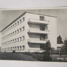 VANHA Postikikortti kotka 1950-l Alkup.Mallikappale - pikkukuva 1