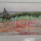 Inari Krohn "Lapin valoa" - pikkukuva 2