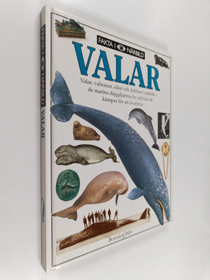 Vassili Papastavrou : Valar