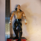 WWE Matt Hardy 2004 - pikkukuva 1