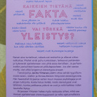 Janita Virtanen: STEREOTYPIA-ANSA - pikkukuva 2
