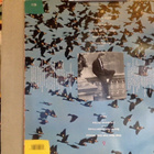 AL CORLEY :: RIOT OF COLOR :: VINYYLI LP 1986 !! - pikkukuva 2