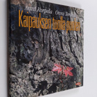 Anni Korpela : Kaipauksen tuolla puolen - pikkukuva 1