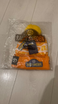 WRC Rally Sweden pipo