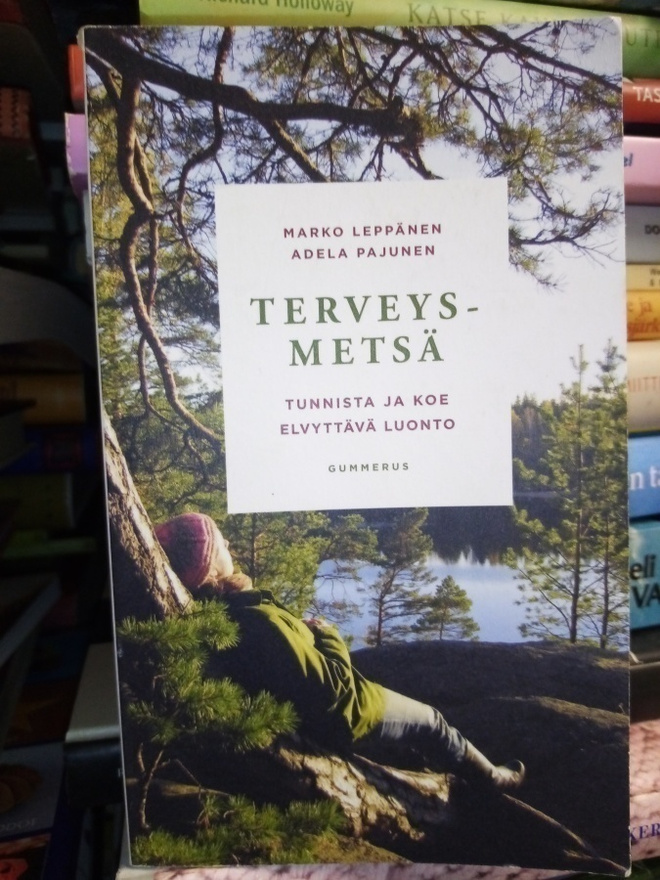 Leppänen - Pajunen :  Terveysmetsä ( SIS POSTIKULU  )