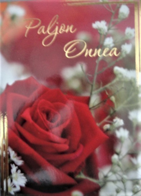 NO 1 - PALJON ONNEA