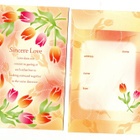 °°SINCERE LOVE°° -KIRJEPAPERIT & KUORET SETTI /(Nro30) - pikkukuva 3
