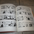 Tove Jansson : Muumit sarjakuvaklassikot V .. VII ,, VIII - pikkukuva 4