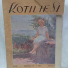Suomen Kuvalehti N:o 13 heinäkuu 1929 - pikkukuva 1