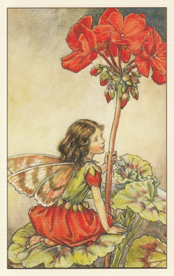 Cicely Mary Barker: Kukkakeijut pelargonia