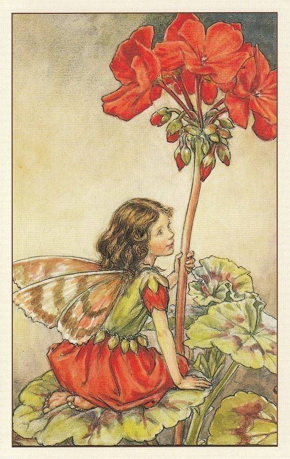Cicely Mary Barker: Kukkakeijut pelargonia
