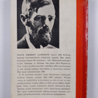 D. H. Lawrence : Lady Chatterleyn rakastaja - pikkukuva 2
