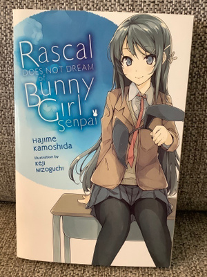 RASCAL does not dream of BUNNY GIRL senpai 1 (ENGLANTI)