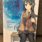 RASCAL does not dream of BUNNY GIRL senpai 1 (ENGLANTI) - pikkukuva 1