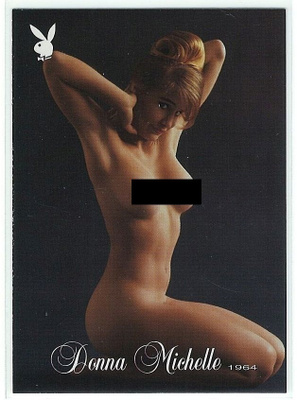 2003 Playboy Playmate of the Year #9 Donna Michelle