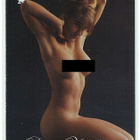 2003 Playboy Playmate of the Year #9 Donna Michelle - pikkukuva 1