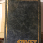 Siivet vuosikerrat 1994 & 1995 - pikkukuva 1