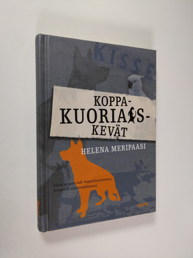 Helena Meripaasi : Koppakuoriaiskevät