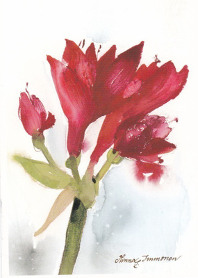 MINNA IMMONEN 4762 AMARYLLIS