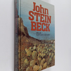 John Steinbeck : Helmi ; Taivaan laitumet - pikkukuva 1