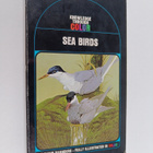 David Saunders : Sea birds - pikkukuva 1