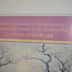 Tove Jansson Moomin YSTÄVYYS JA YKSINÄISYYS MUUMILAAKSOSSA - pikkukuva 3