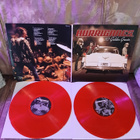 Hurriganes – 30 Golden Greats 2LP + LIITE - pikkukuva 3