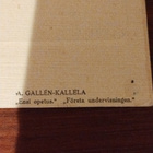Gallen-Kallela Ensi opetus - Postikortti - pikkukuva 3