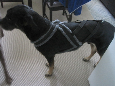 Huskyvaljaat (+)
