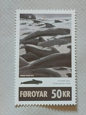 Färsaaret 2010 - Pallopäävalas 50kr ++