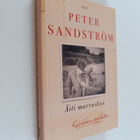 Peter Sandström : Äiti marraskuu : kahdeksan pohdintoa - pikkukuva 1