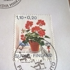 Kuori Finlandia hiinto Hämeenlinna-Lahti 1984 erikoisleima - pikkukuva 5