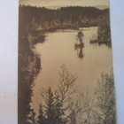 VANHA Postikortti Tammella 1920-l - pikkukuva 1