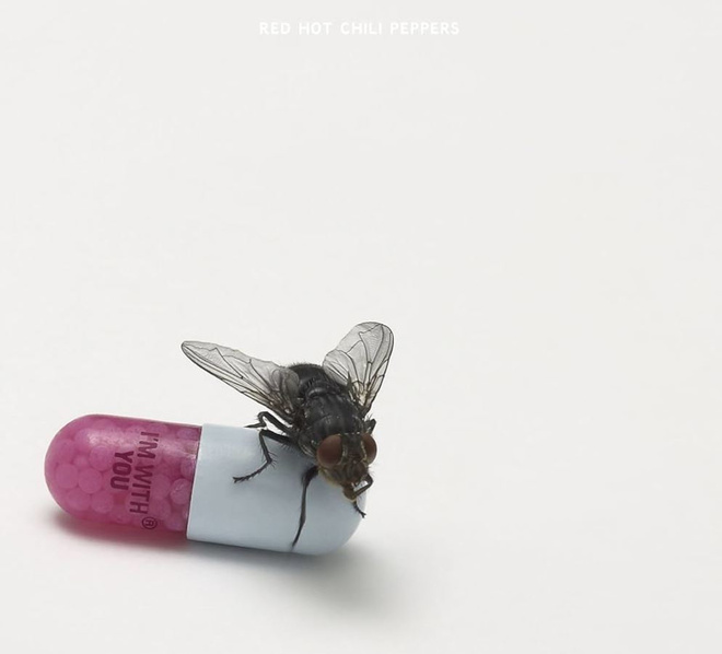 RED HOT CHILI PEPPERS:  I´m with you (CD)