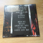 Little Scream - Cult Following LP (Limited Blue Vinyl) - pikkukuva 3
