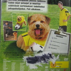 FUTISKOIRA / SOCCER DOG  - EUROPEAN CUP DVD - pikkukuva 2