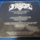 IMMORTAL - PURE HOLOCAUST UUSI LP NIMMARILLA - pikkukuva 3