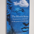 Shanida Nataraja : The blissful brain : neuroscience and ... - pikkukuva 1