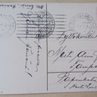 Schwar: Skotlanninpaimenkoira, vanha väripk, p. 1910 - pikkukuva 2