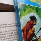 Edgar Rice Burroughs - Tarzanin pedot (pokkari) - pikkukuva 2