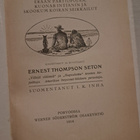 Rolf salolla (1914) – Ernest Thompson Seton, 1. painos - pikkukuva 4