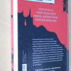 Briitta Hepo-oja : Suomea lohikäärmeille ( 1.p. 2019 k.po ) - pikkukuva 2